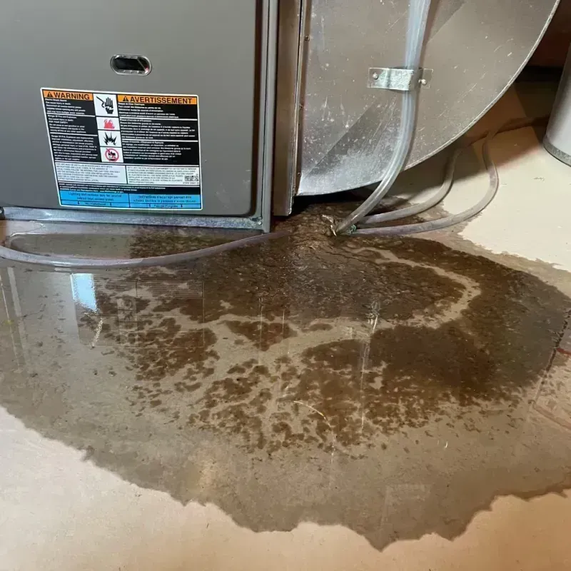 Appliance Leak Cleanup in Lake Hallie, WI